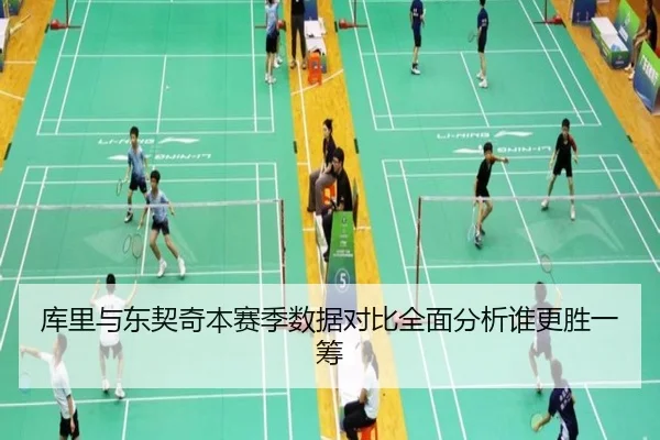 库里与东契奇本赛季数据对比全面分析谁更胜一筹
